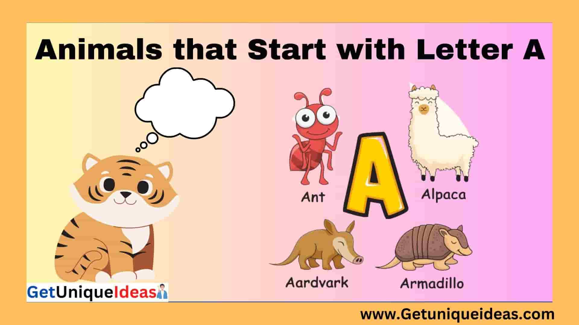 Animals that Start with A | Name An Animal Beginning With A ...