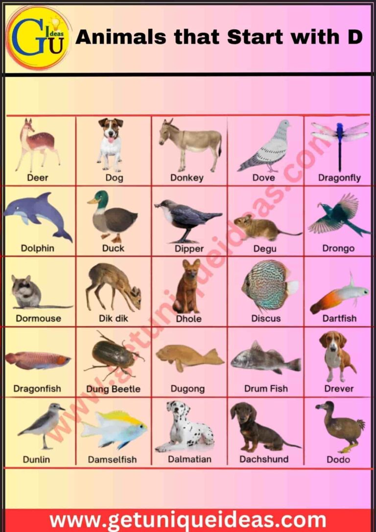 Animals that Start with D | Name An Animal Beginning With D ...