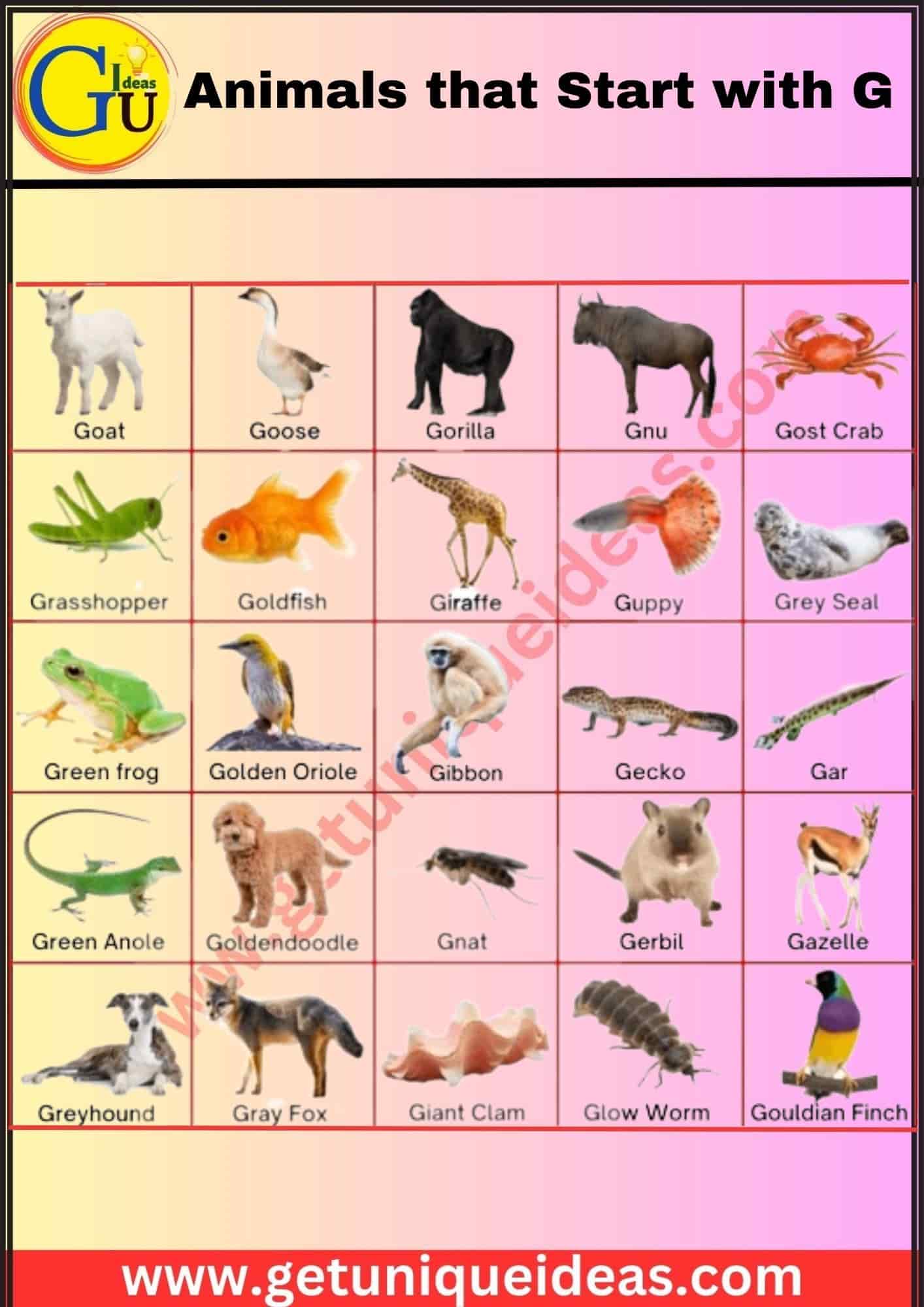 Animals that Start with G With Image