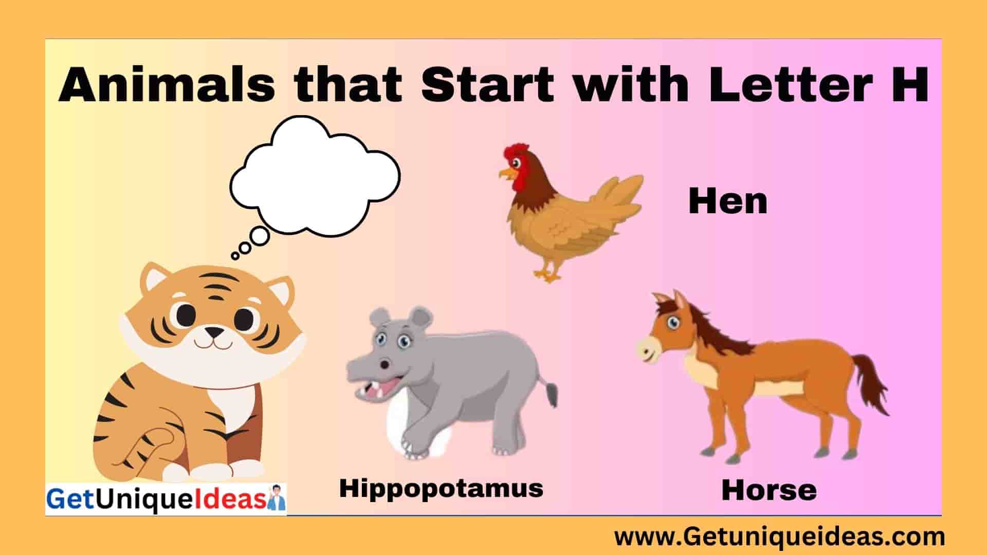 Animals that Start with H