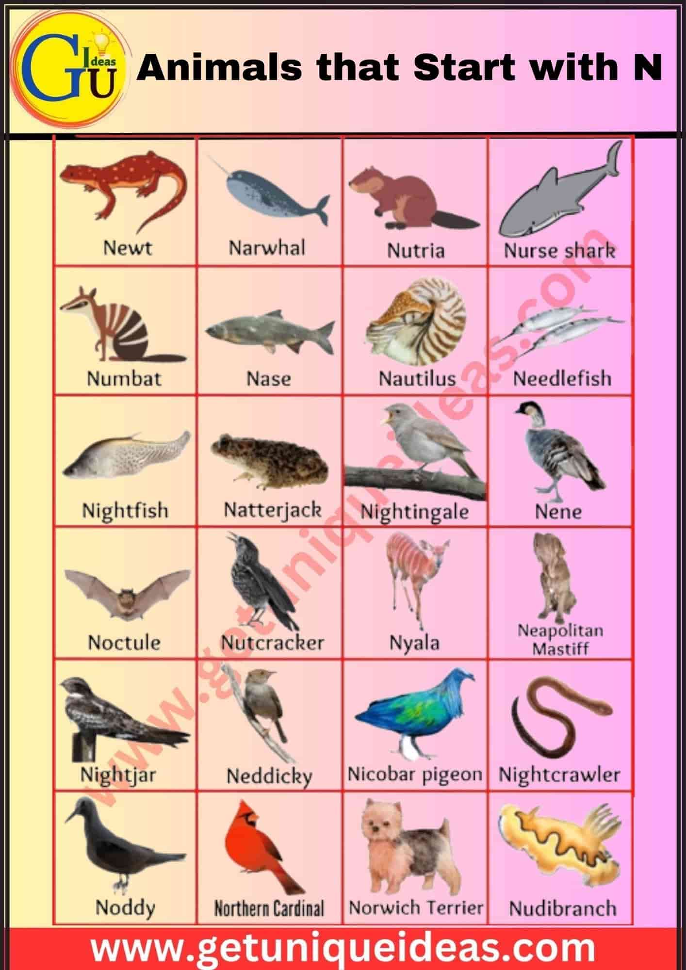 List of 100+ Animals that Start with N: Pictures, Facts - GetUniqueIdeas