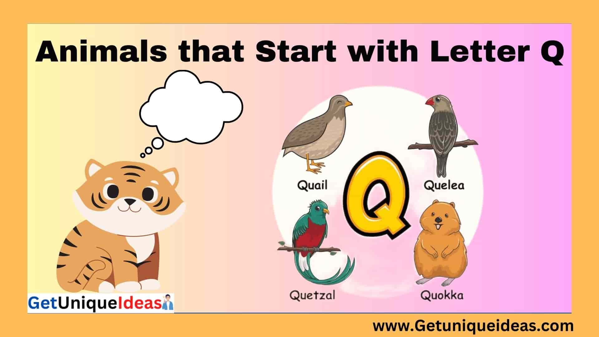 Animals that Start with Q