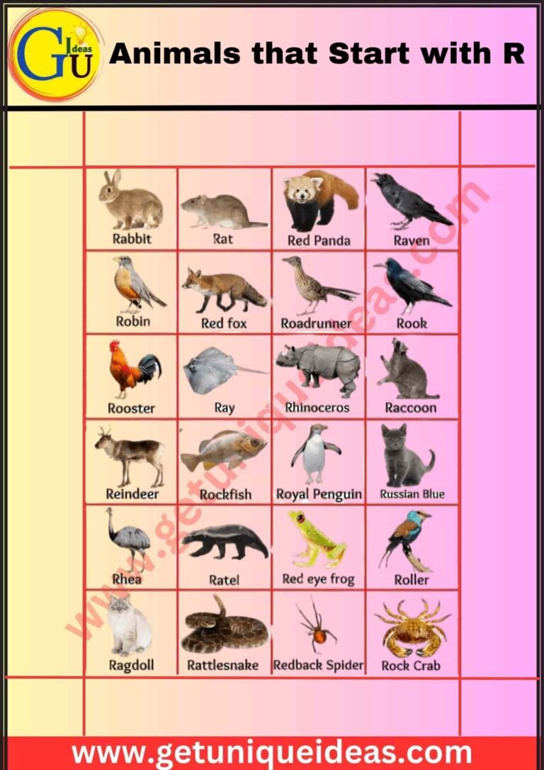 List of 100+ Animals that Start with R: Pictures, Facts - GetUniqueIdeas