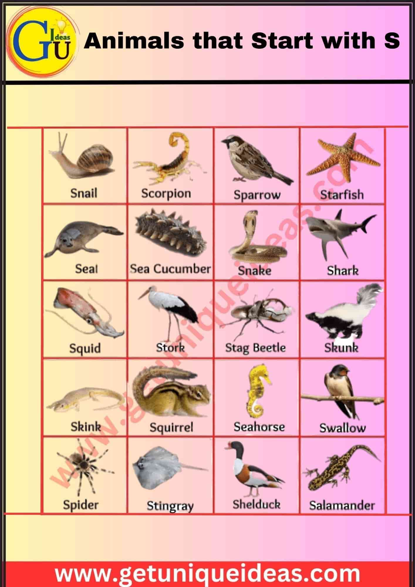 Animals that Start with S With Image