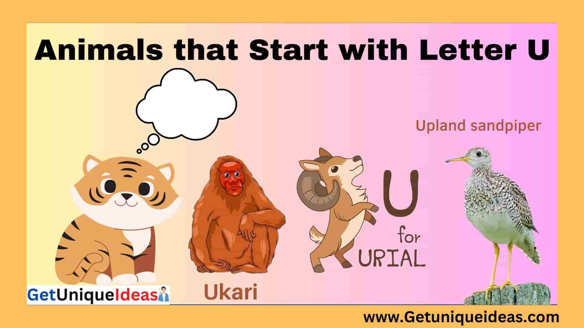 Animals that Start with U