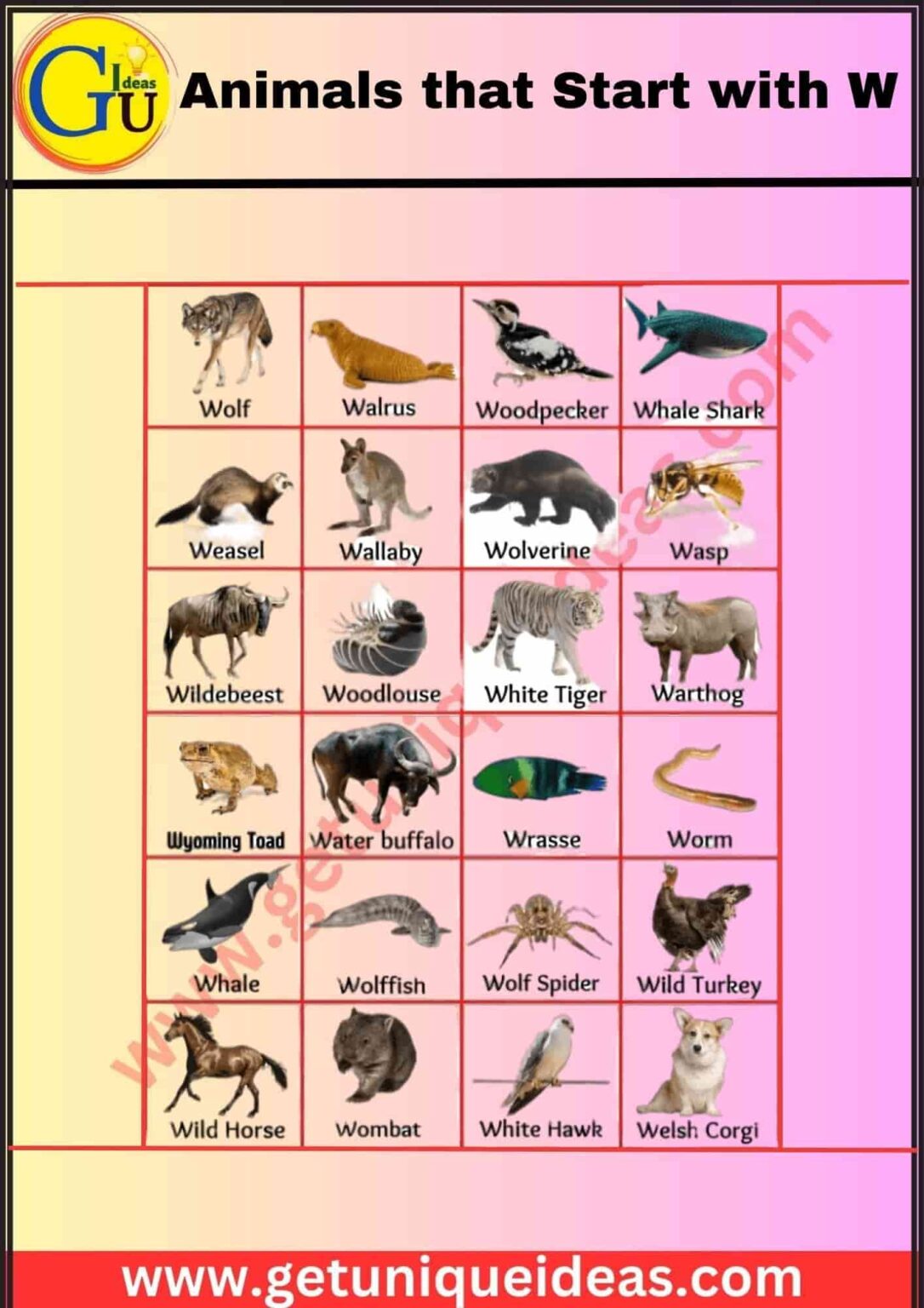 List of 100 Animals That Start With W: Pictures, Facts - GetUniqueIdeas