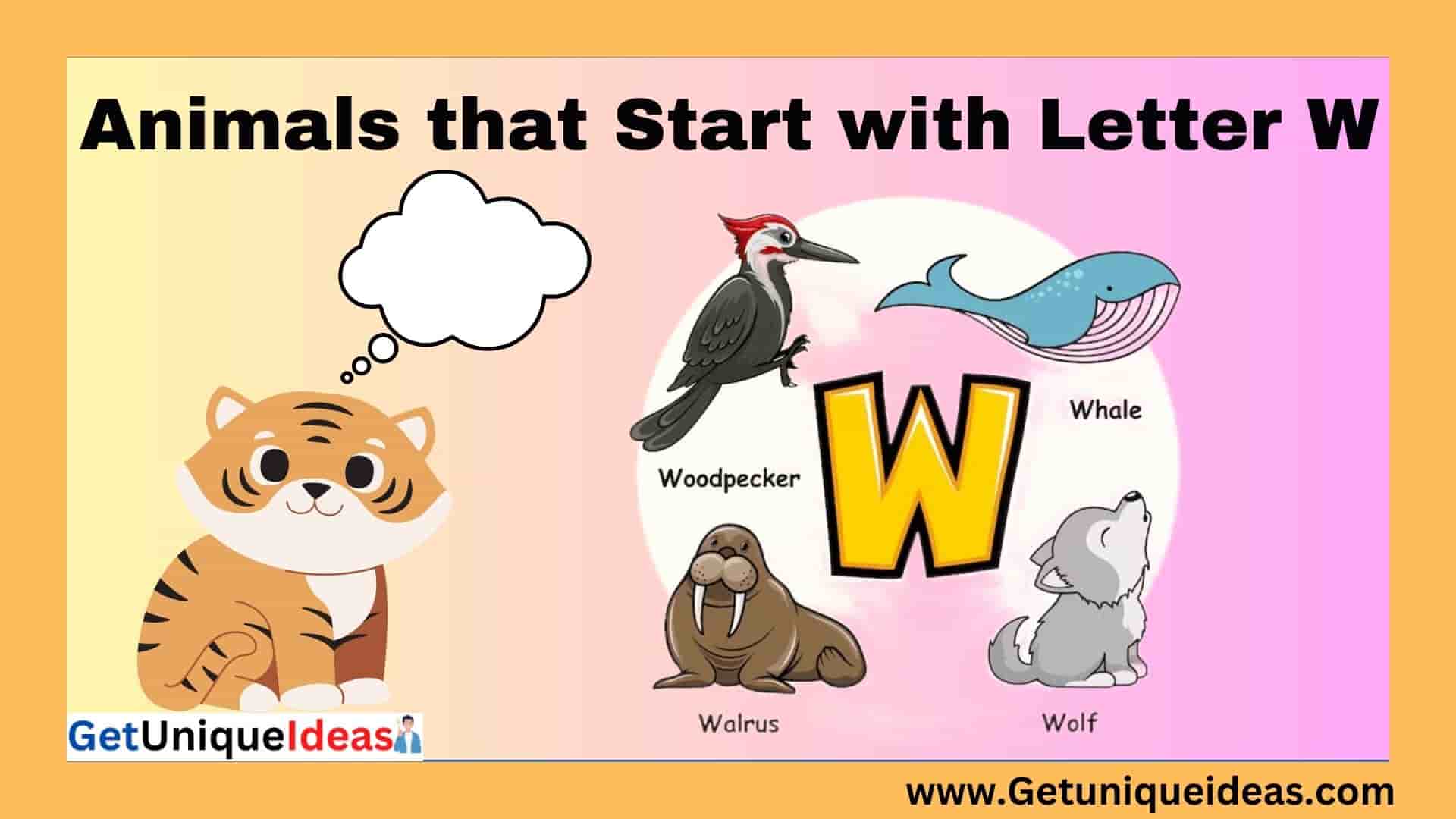 Animals that Start with W