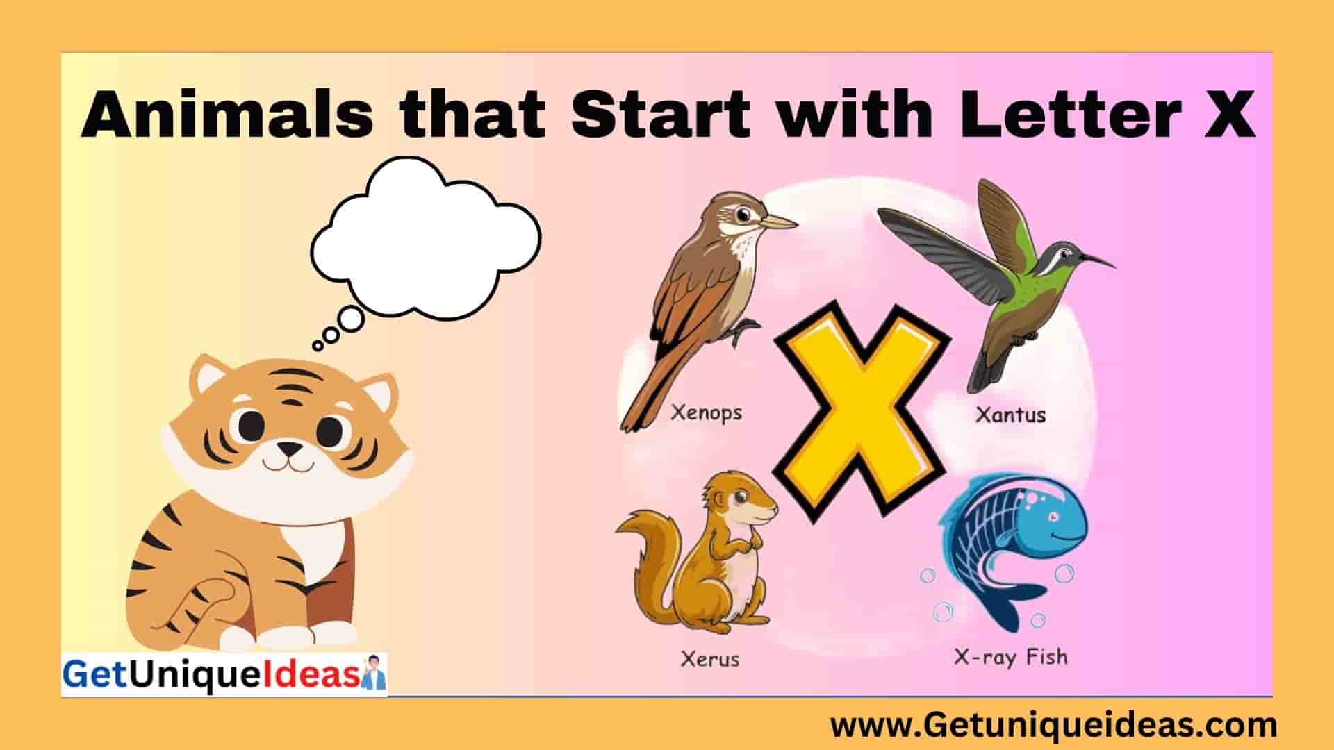 Animals that Start with X