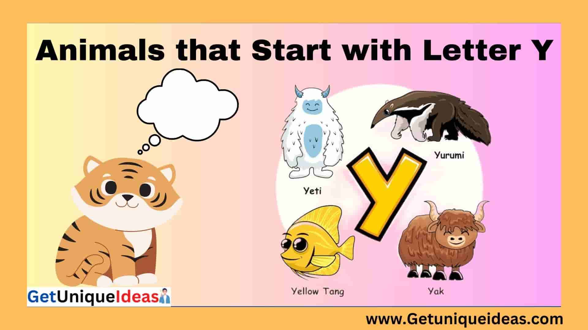 Animals that Start with Y