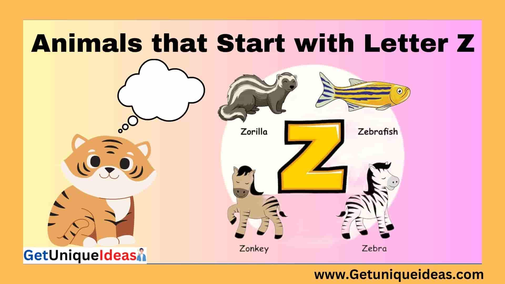 Animals that Start with Z