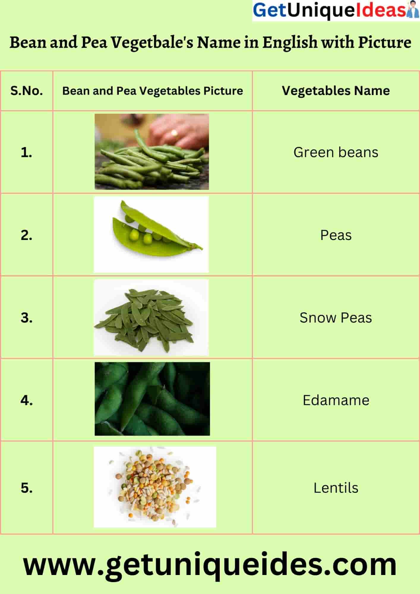 Bean and Pea Vegetable's Name in English with Picture