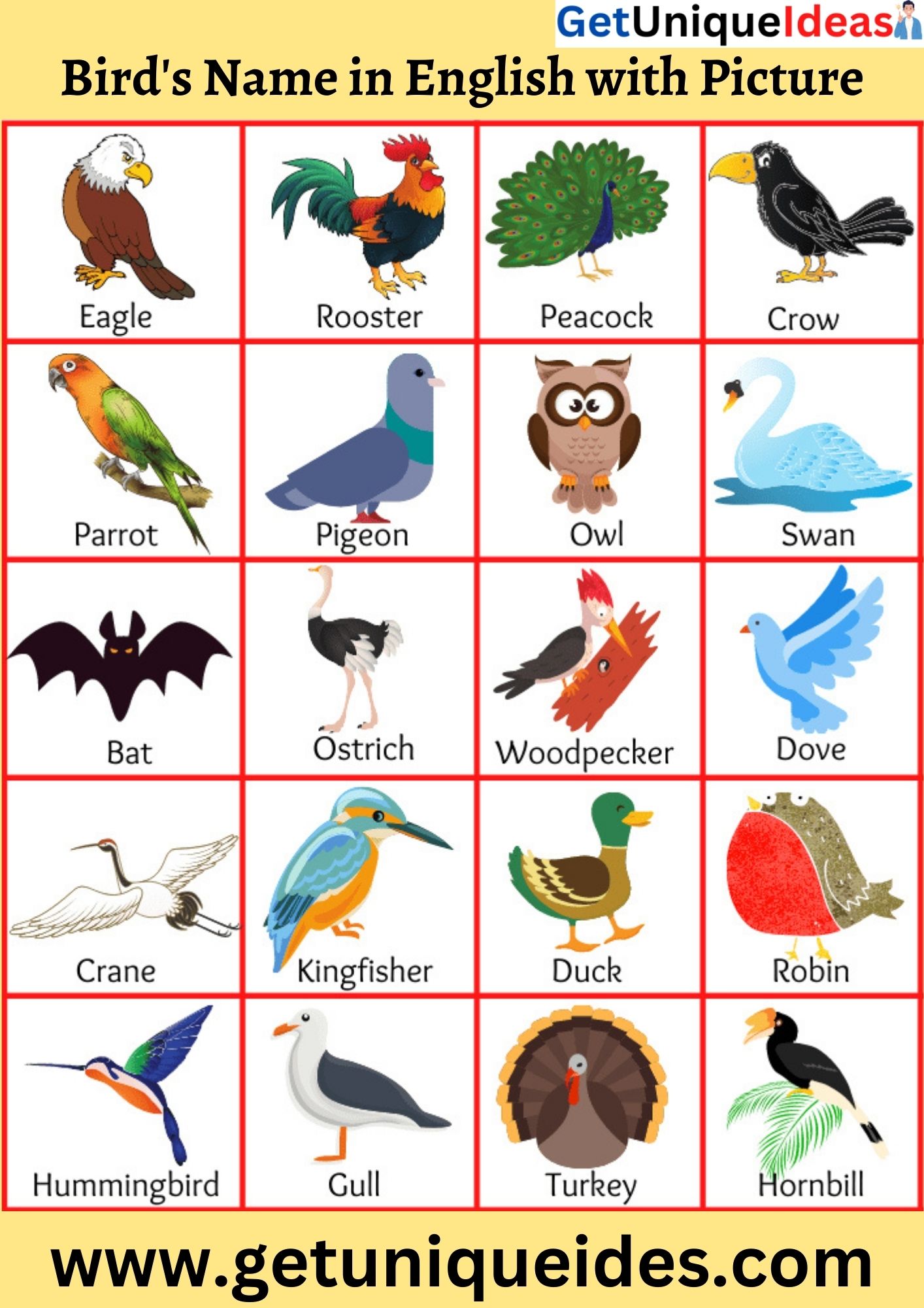 Bird's Name in English with Picture