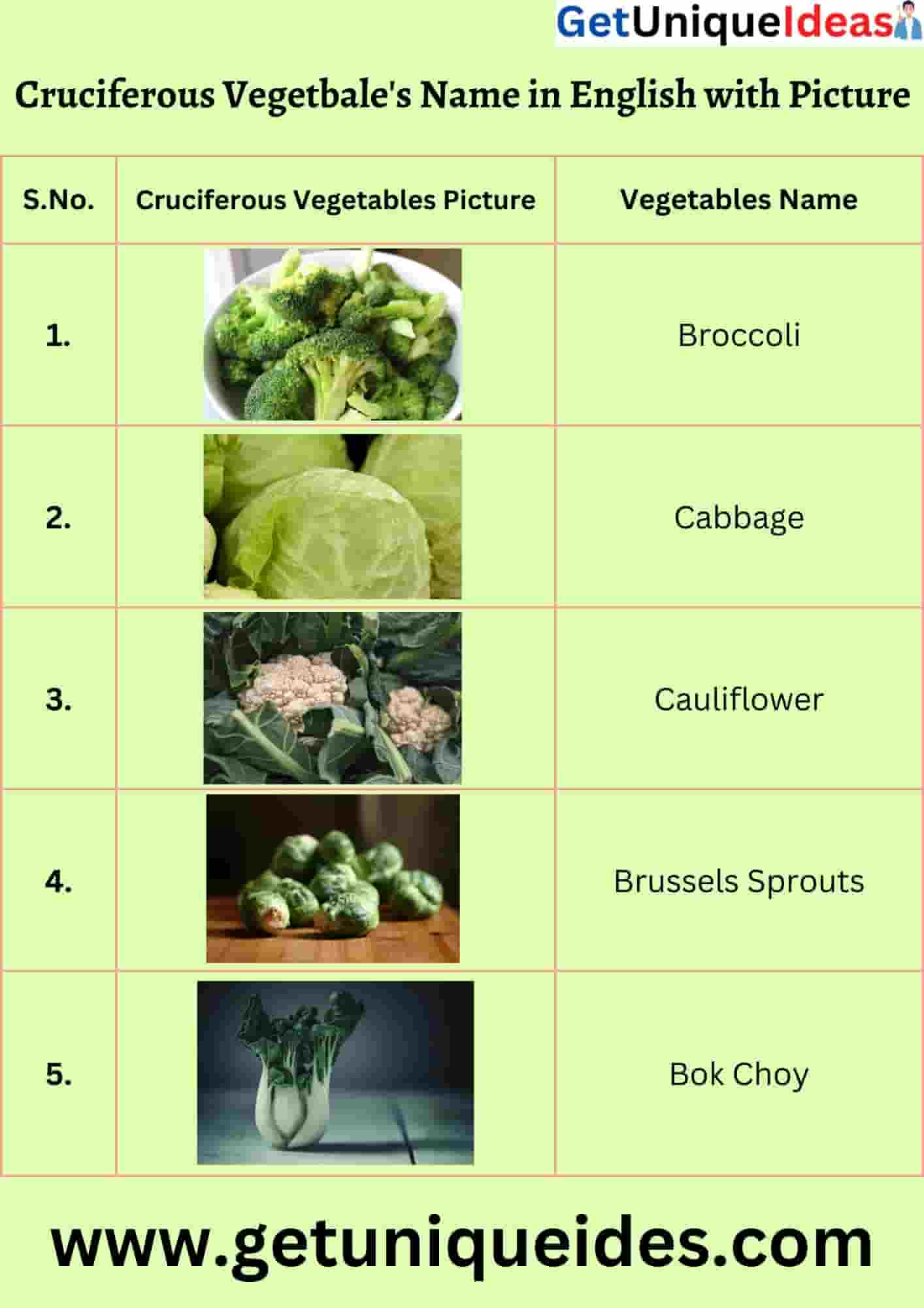 Cruciferous vegetable's Name in English with Picture