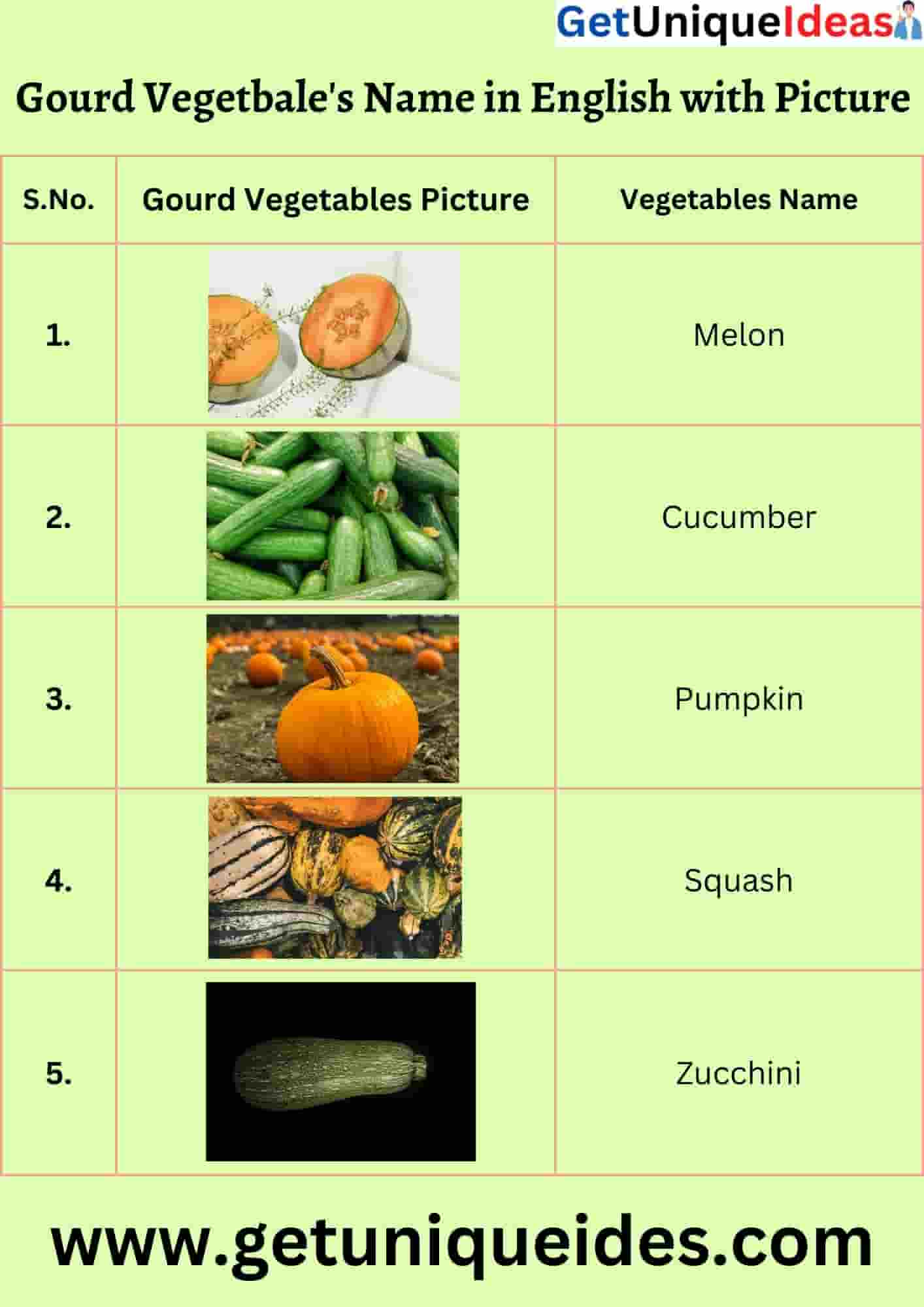 Gourd Vegetable's Name in English with Picture