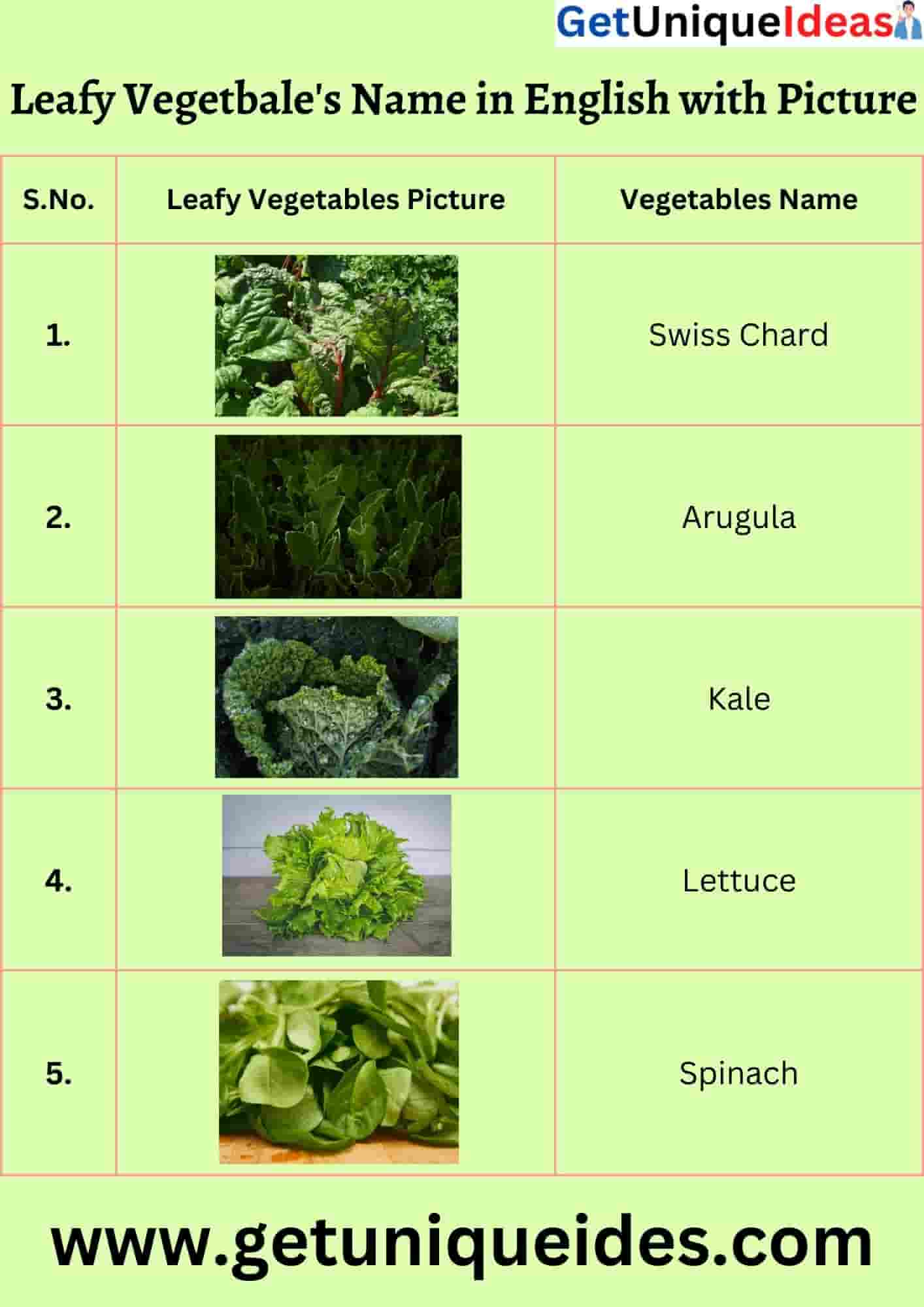 Leafy Vegetables Name in English