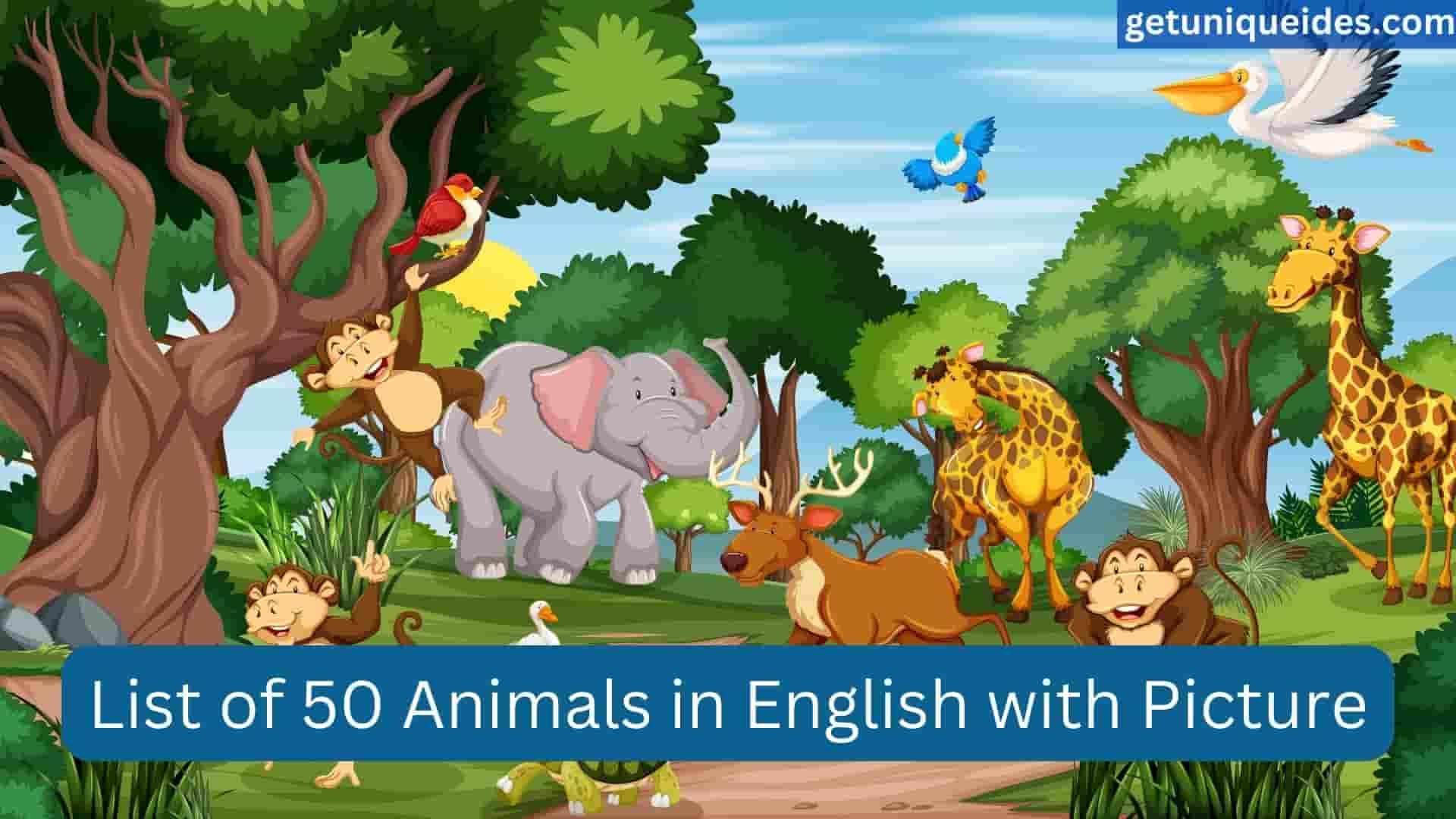 List of 50 Animals in English with Picture