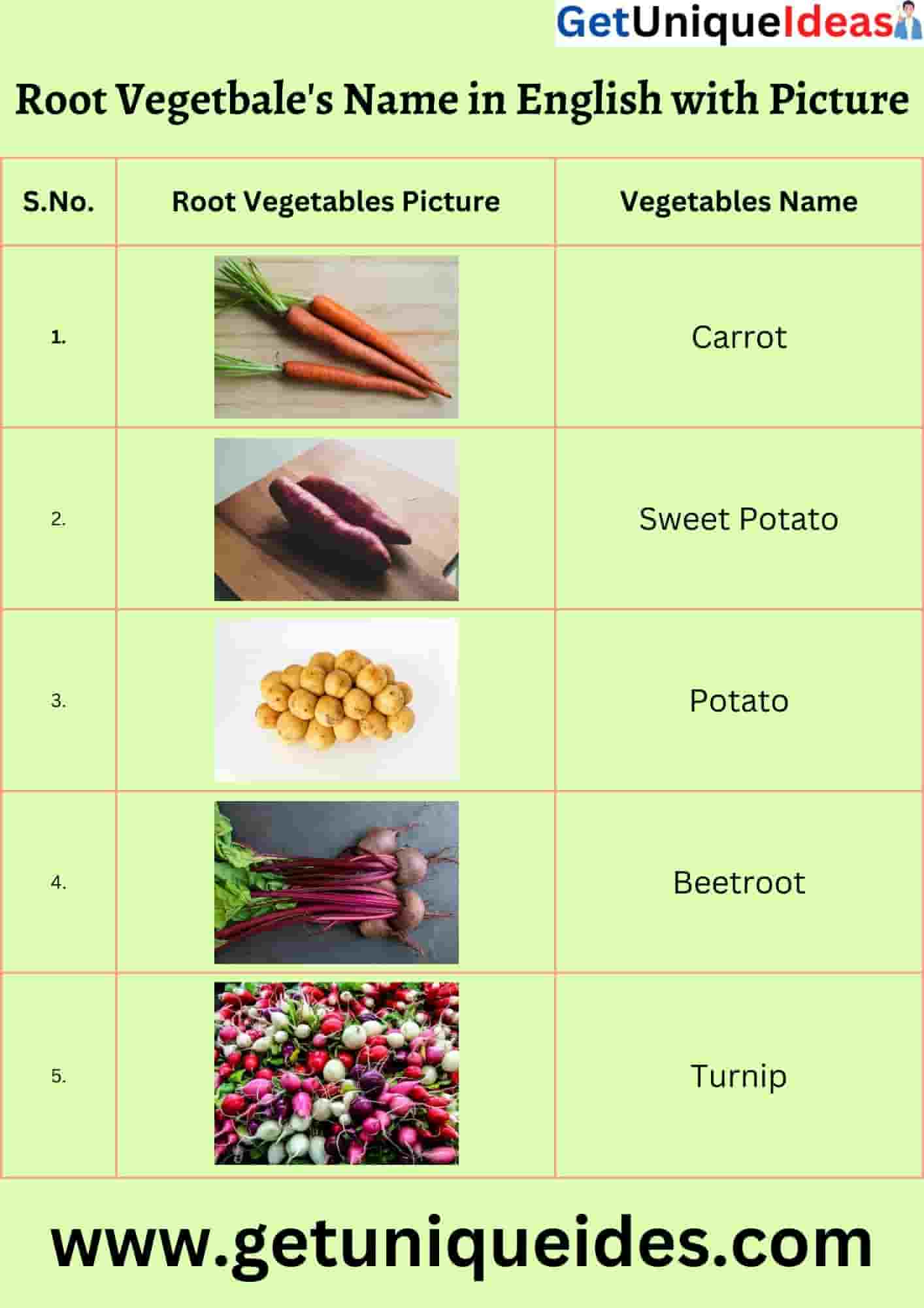 Root Vegetables Name in English