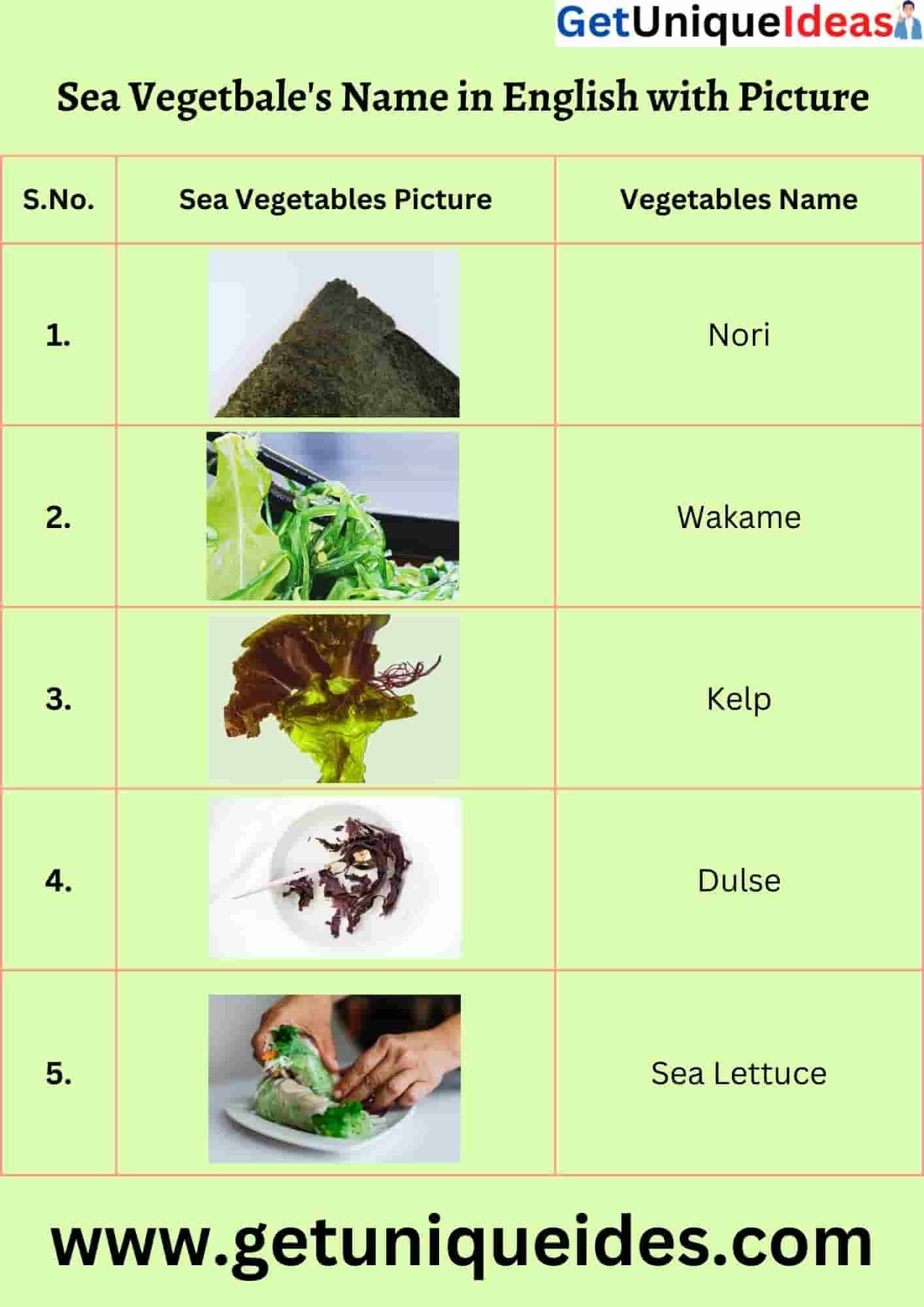 Sea Vegetable's Name in English with Picture