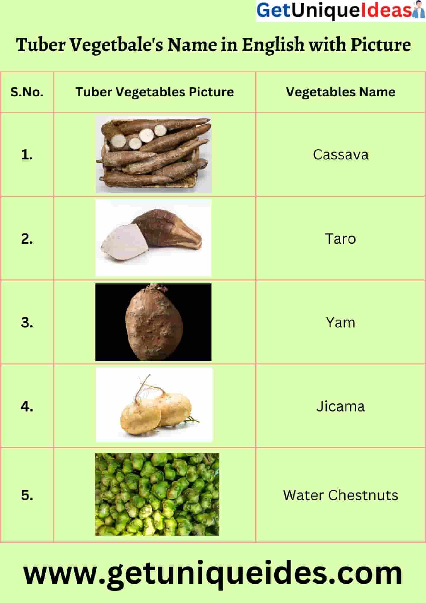 Tuber Vegetable's Name in English with Picture