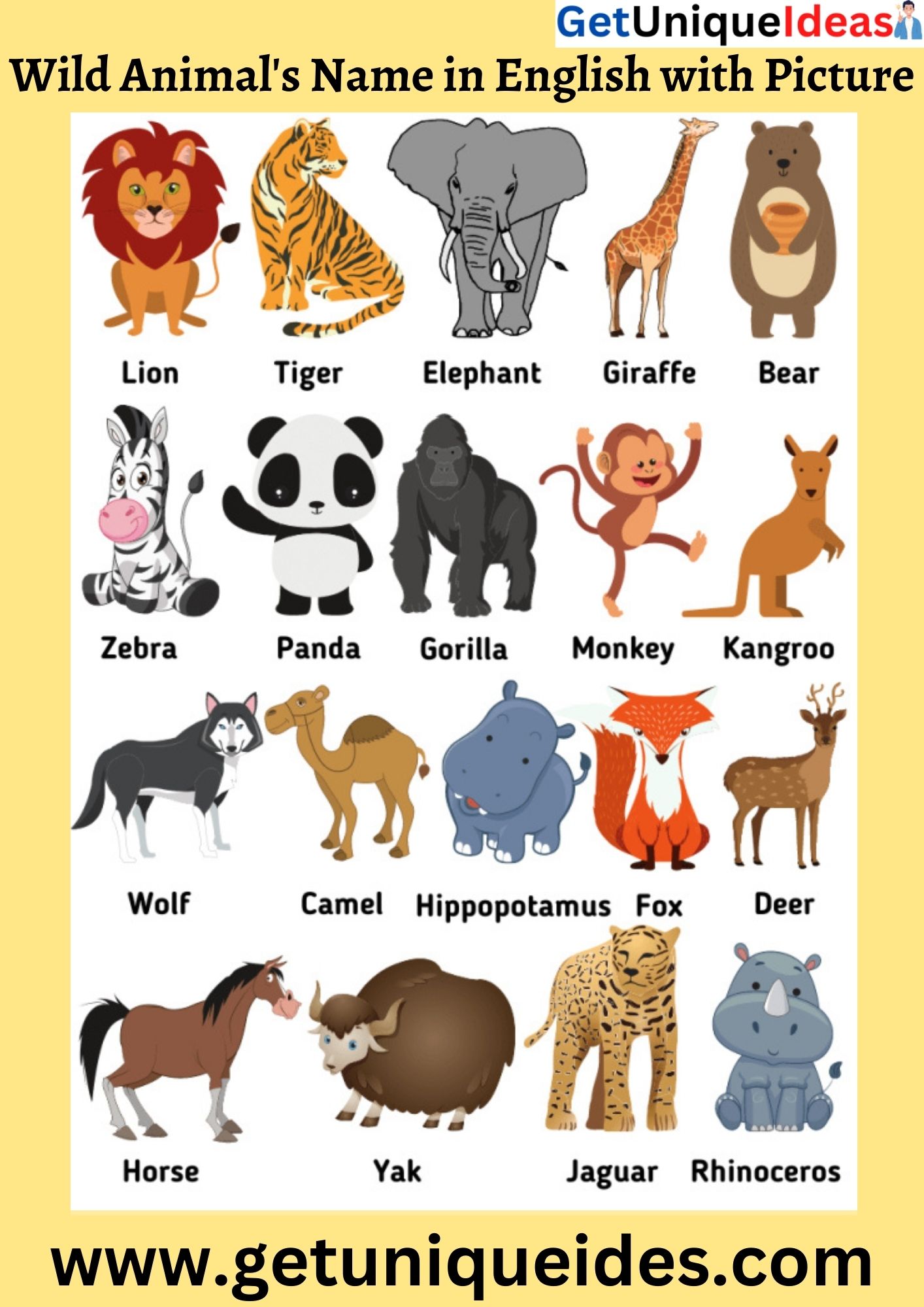 Wild's Animals name in english with picture