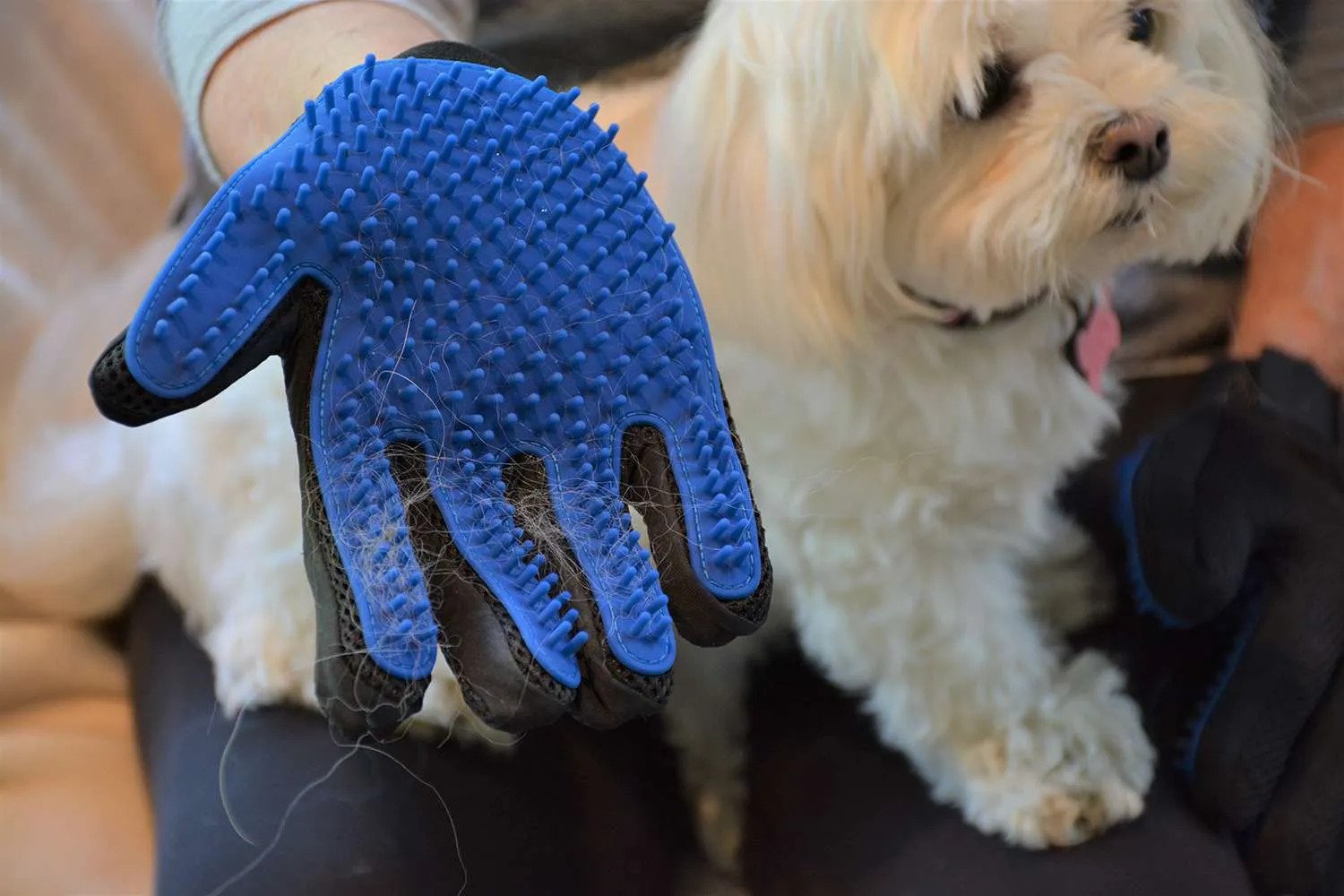 Eliminating Pet Hair with Rubber Gloves